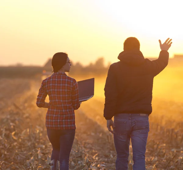 Boeren lopen op veld — Stockfoto