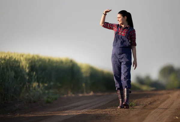 Farmer girl in wheat field — Stock Photo, Image