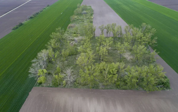 Rurale landschap schieten uit drone — Stockfoto