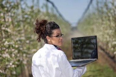 Çiçek açması orchard biyolog