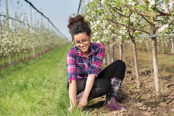 Farmář dívka odplevelení kolem ovocných stromů — Stock fotografie