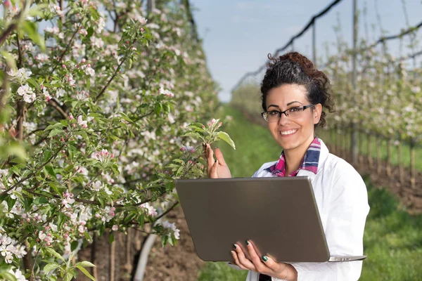 Biologe im blühenden Obstgarten — Stockfoto