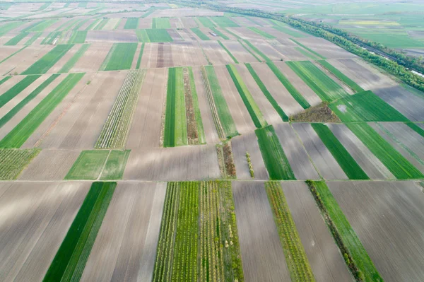 農地の航空写真 — ストック写真
