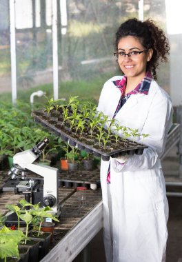 Bilim adamı holding tepsi ile fidan