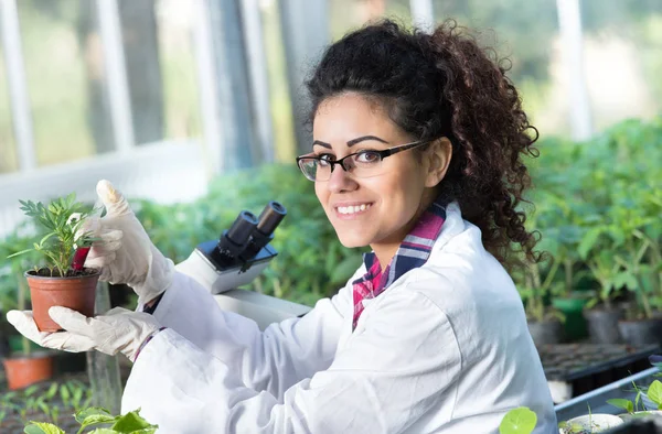 Biólogo vertiendo químicos en maceta con brote — Foto de Stock