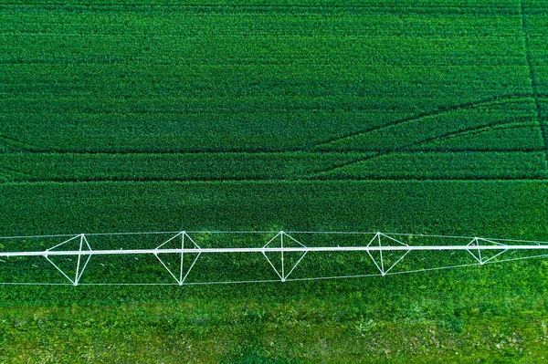 Sistema di irrigazione nel campo di grano — Foto Stock