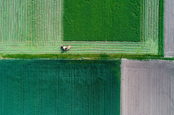 Taglio del trattore erba medica — Foto Stock