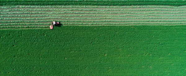 Tracteur fauchant la luzerne — Photo