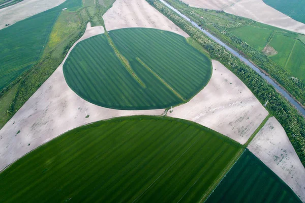 麦田灌溉系统 — 图库照片
