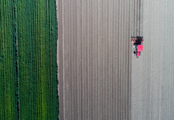 Tractor trabajando en campo en primavera — Foto de Stock