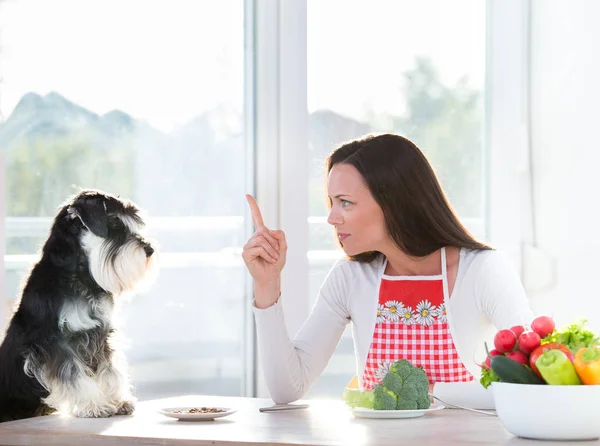 Nő és kutya ebédelni — Stock Fotó