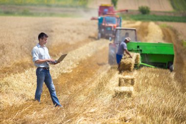 Çiftçi hasat sırasında alandaki dizüstü bilgisayar ile
