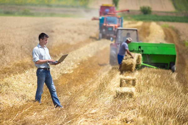 Agriculteur avec ordinateur portable dans le champ pendant la récolte — Photo