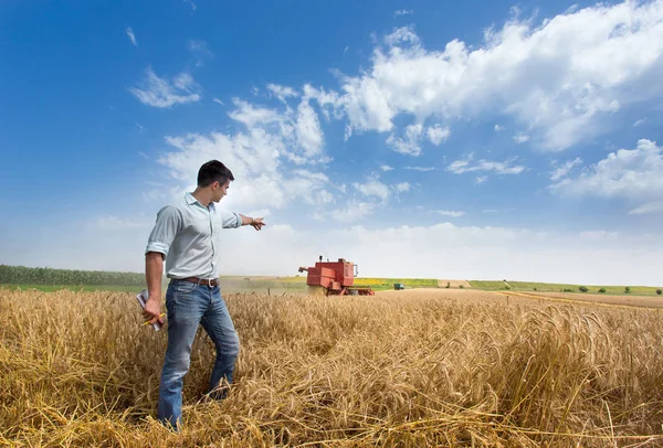 Agricultor no campo durante a colheita — Fotografia de Stock