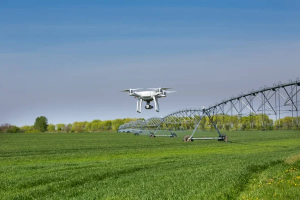 Drone Latający nad pole pszenicy — Zdjęcie stockowe