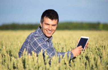 Çiftçi tablet yeşil buğday alanı ile