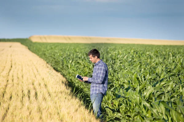 Agricultor con tableta en campo —  Fotos de Stock