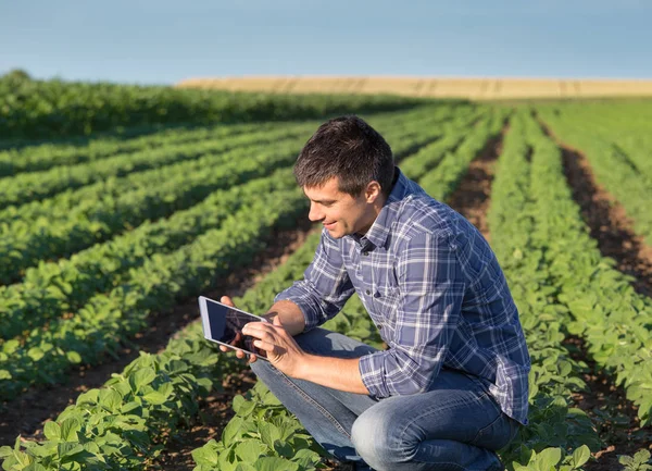 Soya alanındaki tablet ile çiftçi — Stok fotoğraf