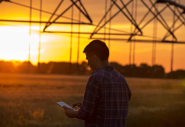 Фермер з планшетом у полі на заході сонця — стокове фото