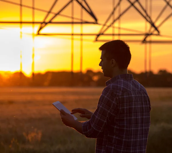 Agricultor con tableta en el campo al atardecer — Foto de Stock