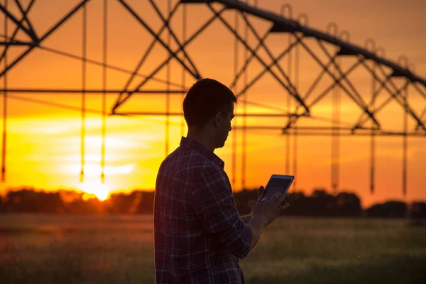 Contadino con tablet in campo al tramonto — Foto Stock