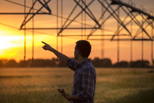 Rolnik ogląda systemu nawadniania w dziedzinie o zachodzie słońca — Zdjęcie stockowe