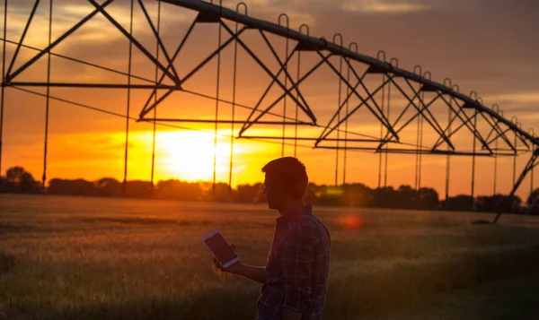 Farmer azienda tablet in campo al tramonto — Foto Stock