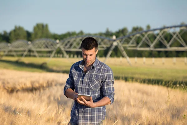 Agricultor com comprimido no campo — Fotografia de Stock