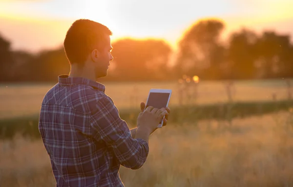 Landwirt hält Tablette bei Sonnenuntergang im Feld — Stockfoto