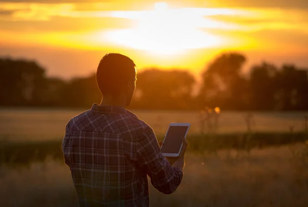 Granjero sosteniendo tableta en el campo al atardecer — Foto de Stock