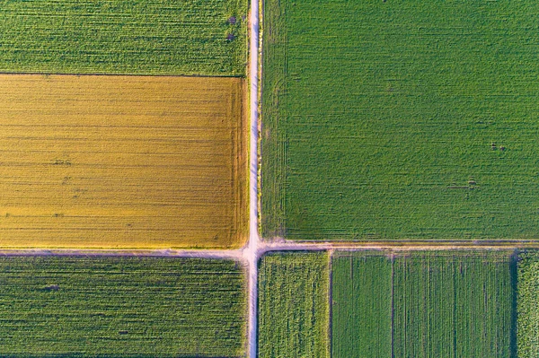 Blick von oben auf landwirtschaftliche Parzellen — Stockfoto