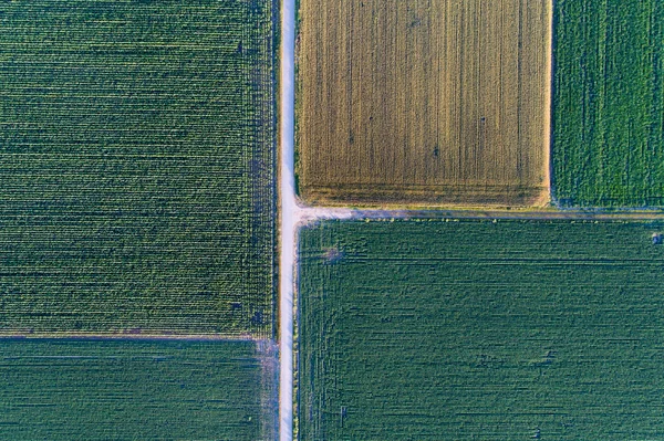 Vista superior de las parcelas agrícolas — Foto de Stock