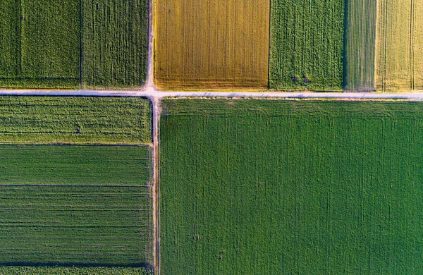 Vista superior de las parcelas agrícolas —  Fotos de Stock