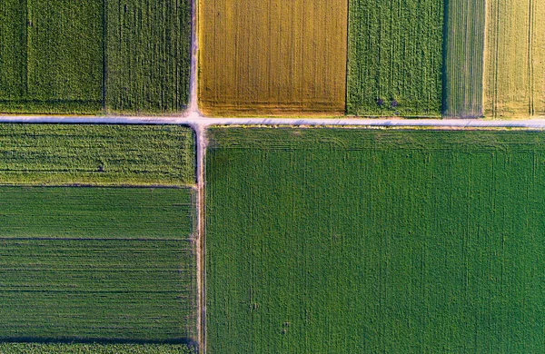 Vue du dessus des parcelles agricoles — Photo