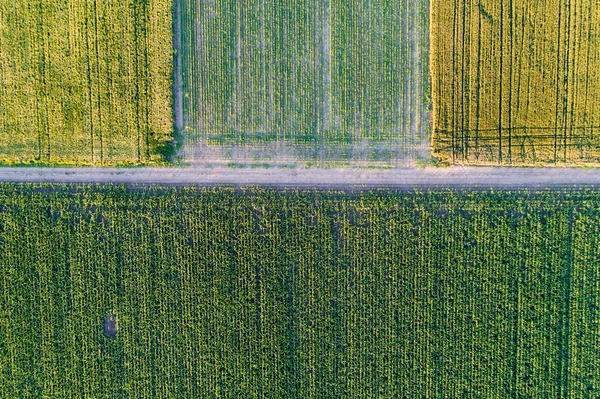 Bovenaanzicht van de percelen landbouwgrond — Stockfoto