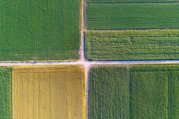 Bovenaanzicht van de percelen landbouwgrond — Stockfoto