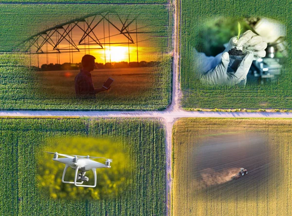 Collage agricolo astratto — Foto Stock