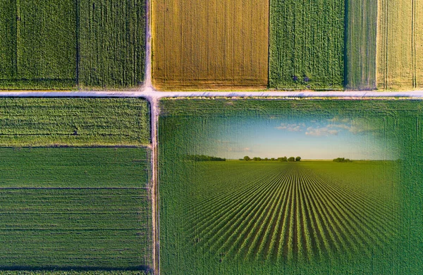 Collage agrícola abstracto —  Fotos de Stock