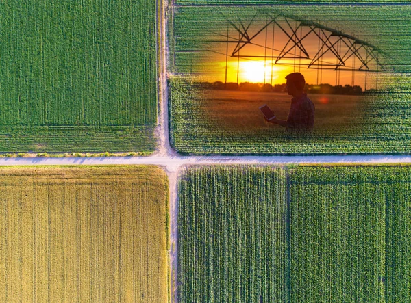 Colagem agrícola abstrata — Fotografia de Stock