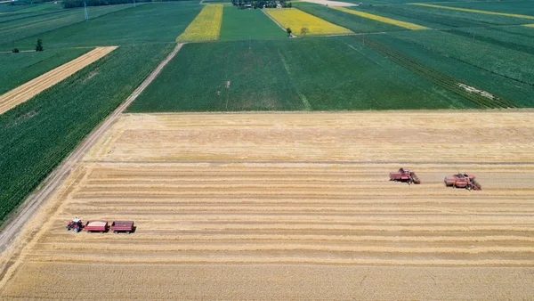 Комбайни, що працюють на полі золотої пшениці — стокове фото