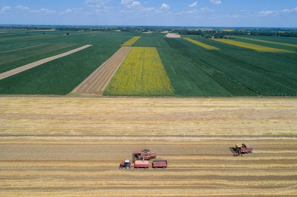 Werken in gouden tarweveld maaidorsers — Stockfoto