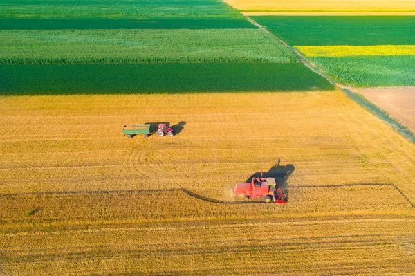 Luchtfoto afbeelding van oogst in tarweveld — Stockfoto