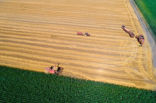 Воздушное изображение сбора урожая на пшеничном поле — стоковое фото