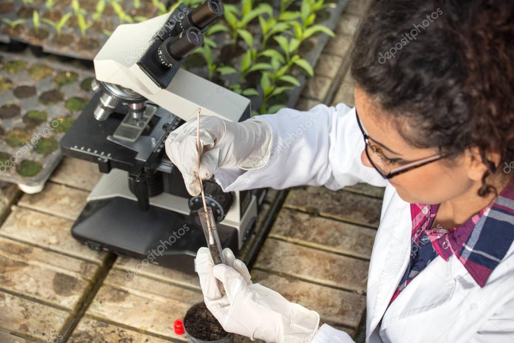 Biologist experimenting with soil and sprouts