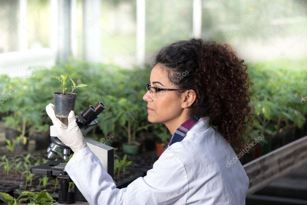 Biologist holding pot with sprout