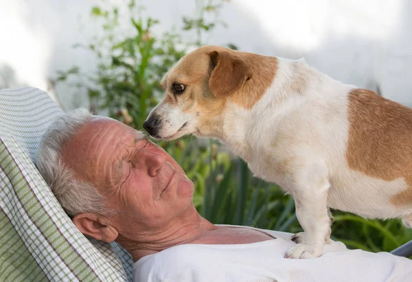 Velho homem e bonito cão beijando — Fotografia de Stock