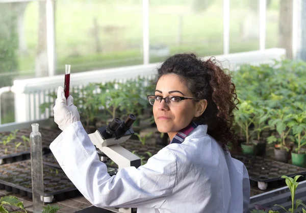 Ingeniero que trabaja en protección de plantas — Foto de Stock