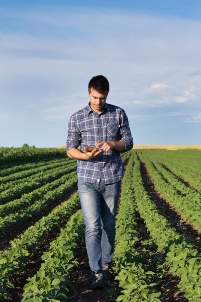 Agricultor com tablet em campo de soja — Fotografia de Stock