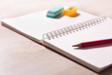 Dizüstü masa üzerine kalem