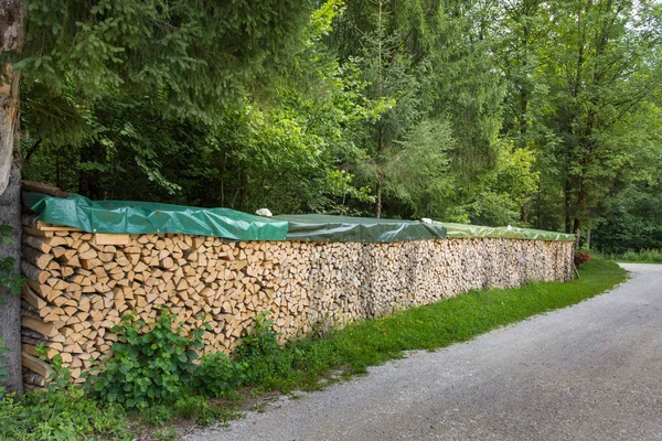 Brennholz im Wald abgedeckt — Stockfoto